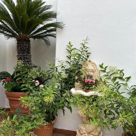 Hotel Park Calitto Forio di Ischia Exterior foto