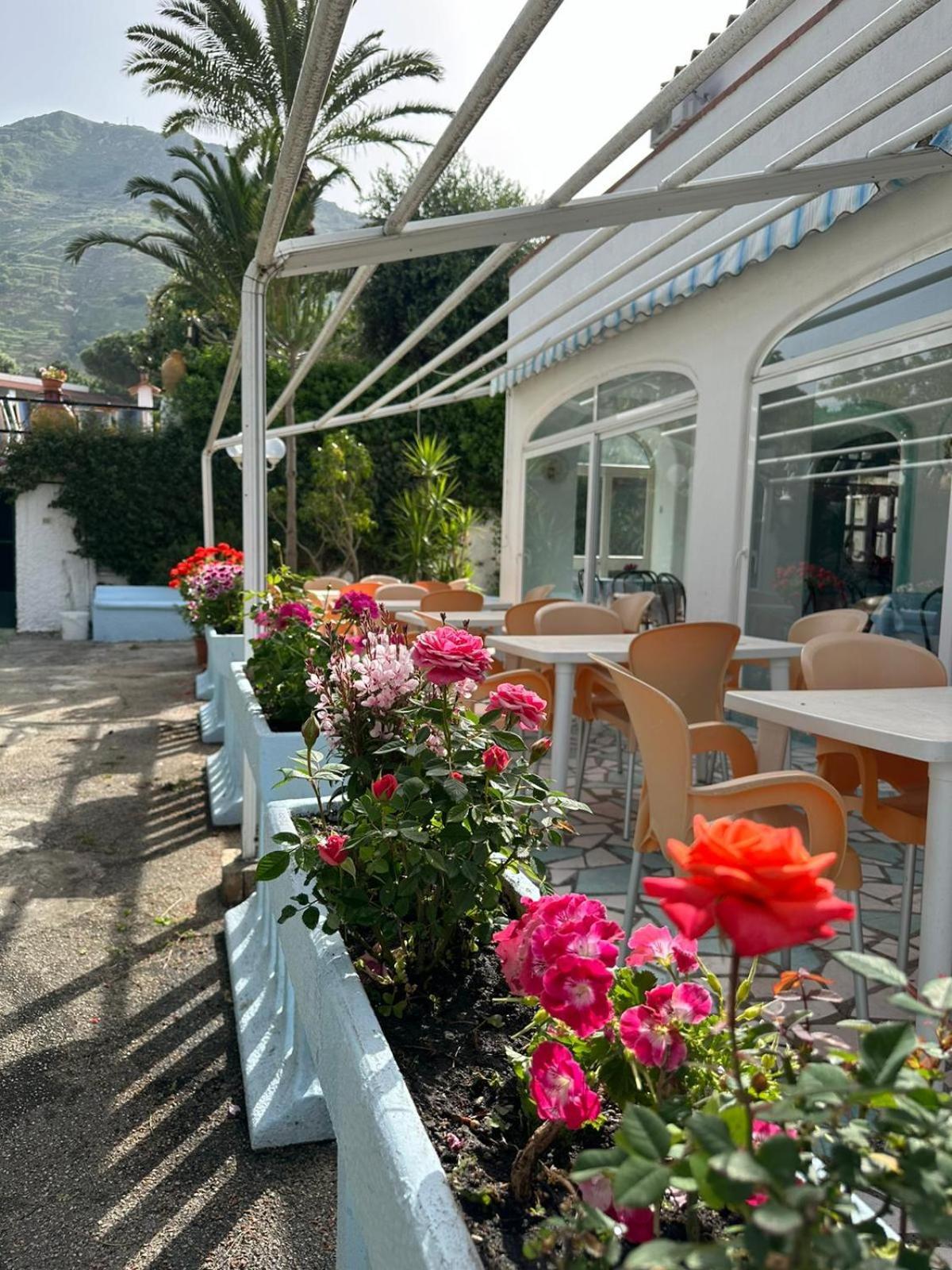 Hotel Park Calitto Forio di Ischia Exterior foto