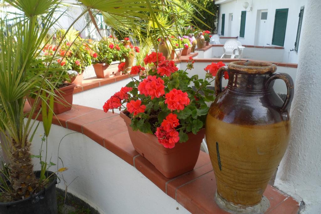 Hotel Park Calitto Forio di Ischia Exterior foto